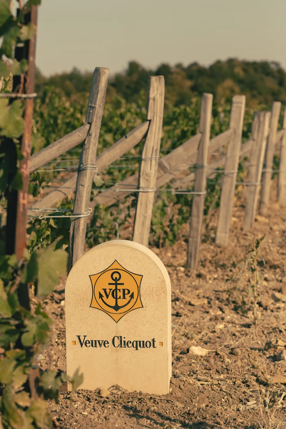 Veuve Clicquot