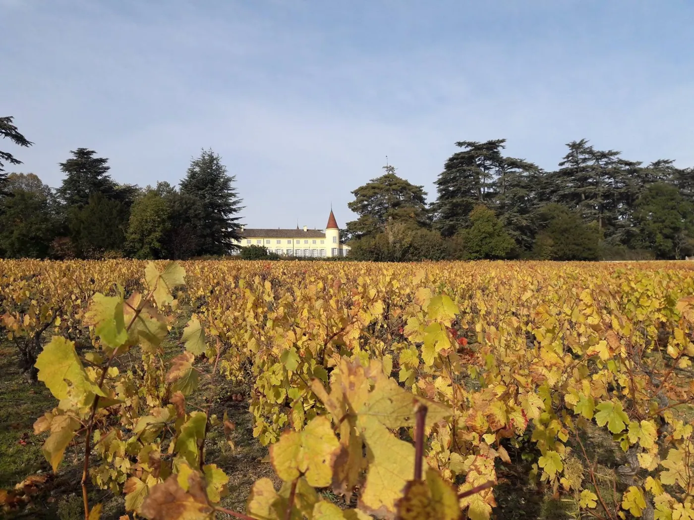 Château de Pierreux