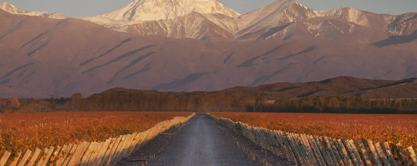 Terrazas de los Andes