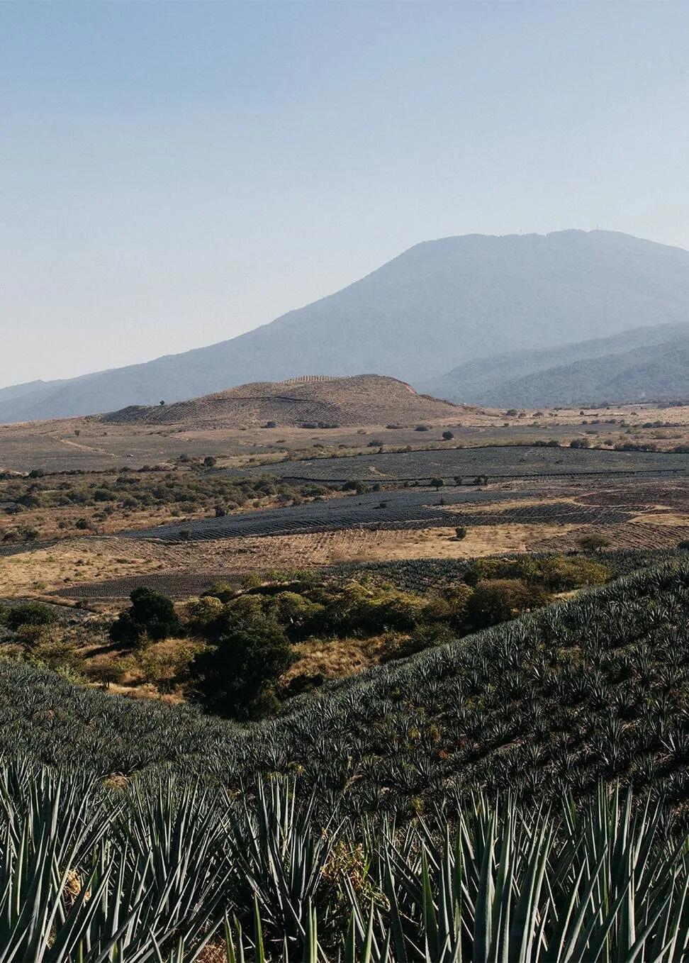 Volcan de mi Tierra